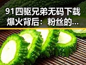 91四驱兄弟无码下载爆火背后：粉丝的热议与争议